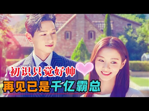 单亲千亿霸总和家庭女老师互生情愫，后来才发现两人很早就有一面之缘，那时的女孩直觉眼前的大哥哥好帅！一口气看完《绅士和小姐》#大鱼解说