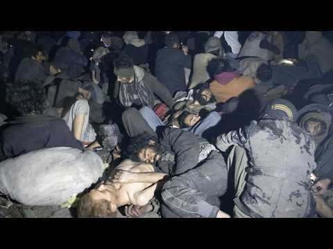 Zombies of Afghanistan: Even the Dogs Are Addicted