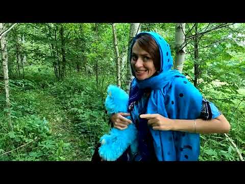 Отрывок из сказки Алёнушка.