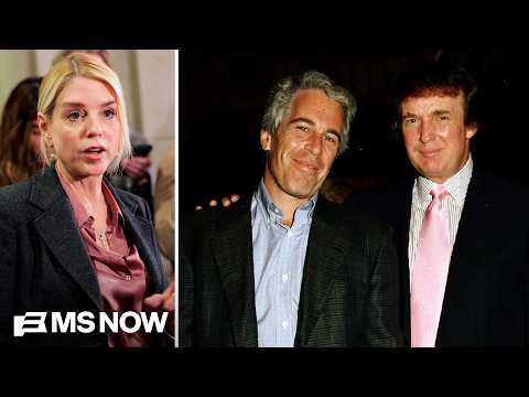 Ironic twist: Epstein files apparently cost Bondi her job even as she shielded Epstein associates