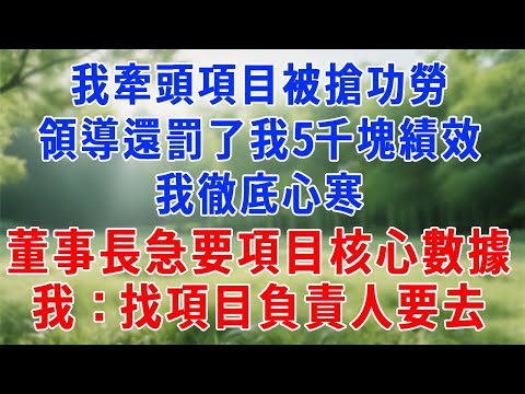 我牽頭項目被搶功勞，領導還罰了我 5千塊績效！我徹底心寒，3 天後董事長急要項目核心數據，我：找項目負責人要去。#生活經驗 #人生感悟 #故事分享 #為人處世  #职场 #打脸