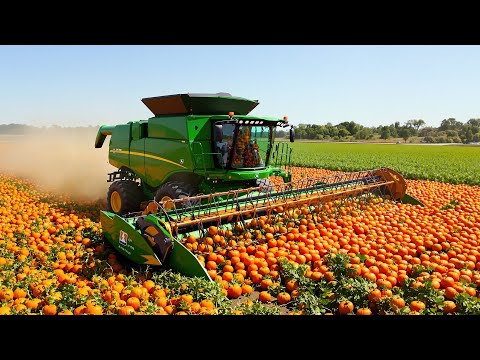 50 Modern Agriculture Machines Operating at Peak Efficiency #1
