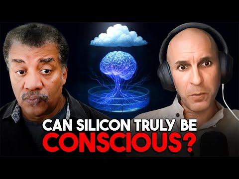 Why AI May Never Be Conscious