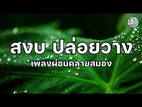 สงบ ปล่อยวางลึก ปล่อยให้ใจได้พักเหนื่อยจากทุกสิ่งที่กดดันตอนนี้ เพลงผ่อนคลายสมอง เพลงบำบัดจิตใจ