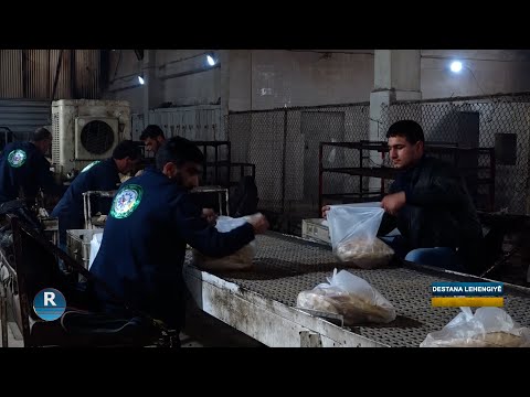 Şerê Kobanê.. Vê nanpêşê xizmet ji gel re dike