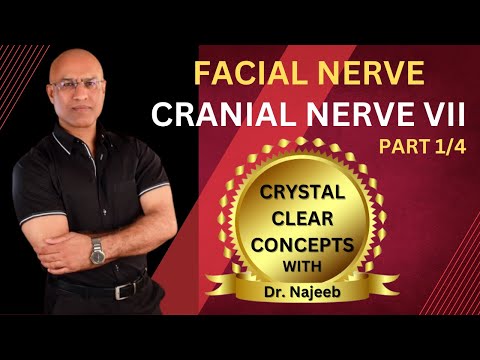 Facial Nerve | Neuroanatomy | Part 1/4