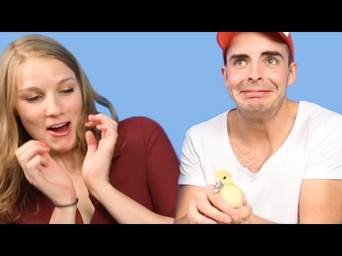 People With A Fear Of Birds Get Surprised With Ducklings