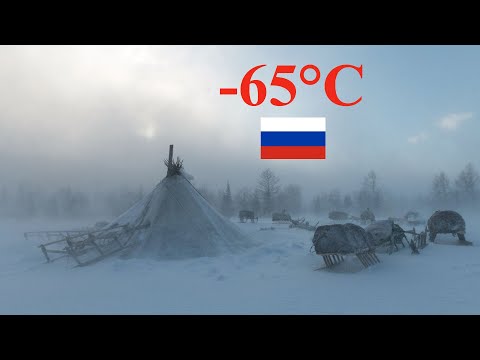 Arctic nomads live in the cold tundra in amazing dwellings! Russia