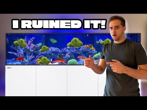 MY AQUARIUM HAS NEVER LOOKED THIS BAD!!