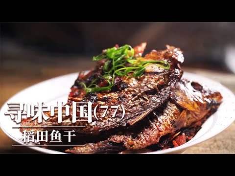 《味道》大山里的鲜味密码 问政山笋 酒香松露鸡 稻田鱼干 这些山间美味让人流连忘返 20251203 ——寻味中国（77）丨美食中国 Tasty China