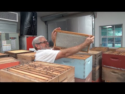 Processing over 4200 pounds of honey and then cleaning up the mess.