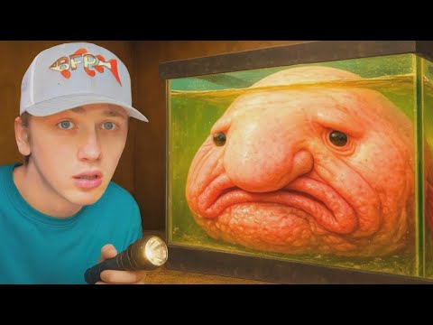 버려진 바다 괴물을 발견했어요…