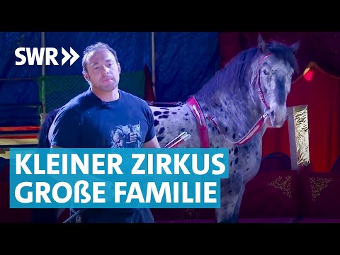 Circus Alessio: Der Reiz der Freiheit