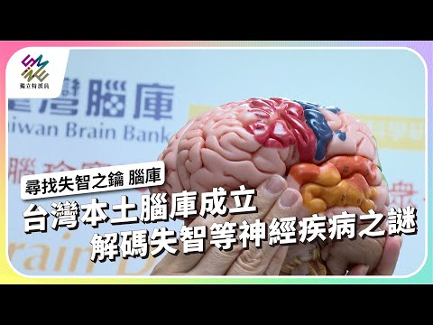 台灣本土腦庫成立，解碼失智等神經疾病之謎｜尋找失智之鑰 腦庫｜公視 #獨立特派員 第910集 20250709