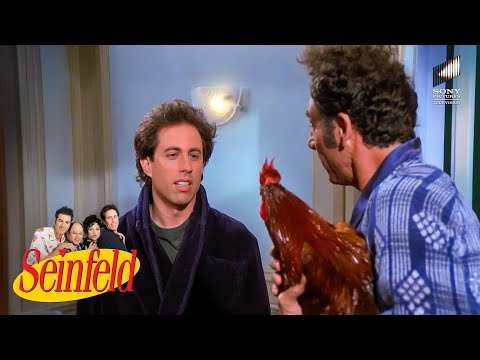 Kramer's Pet Chicken Wakes up Jerry & George's Mom gets Injured | Seinfeld