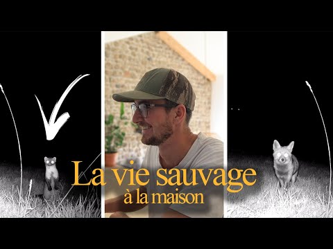 LA VIE SAUVAGE A LA MAISON !