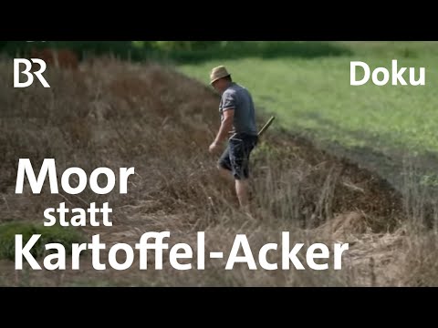 Rückkehr der Moore: Renaturierung wird zum Kampf um Feuchtgebiete | BR Story | BR