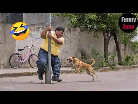 TRY NOT TO LAUGH 😆 Best Funny Videos Compilation 😂😁😆 Memes PART 251