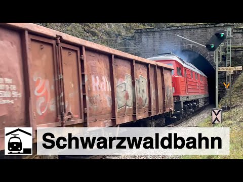 Ludmillas und Güterzüge auf der Schwarzwaldbahn + Übergabe Hausach