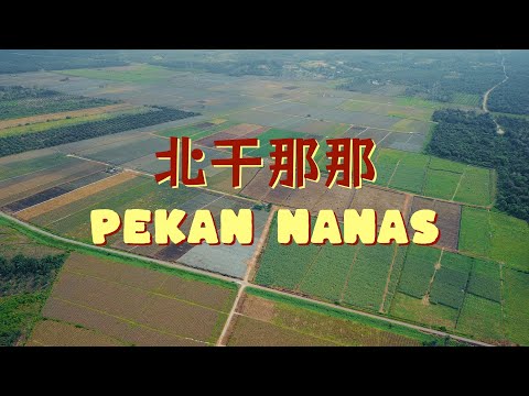 黃梨之鄉 Land of Pineapples // 北干那那 Pekan Nanas