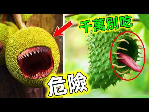 你中招了嗎？這些水果千萬不要亂吃，它們竟然含有劇毒，太可怕了#有毒的水果 #致命水果  #最毒的水果 #水果 #有毒果實 #世界之最 #王宇觀地球