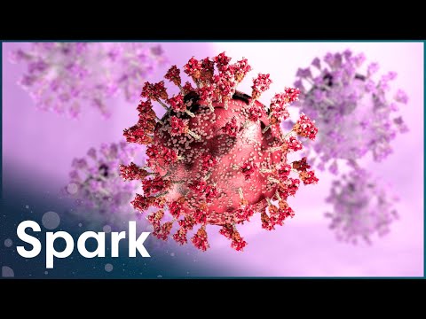 Why Are Antibiotics And Vaccines Failing Us? [4K] | The Battle Against Superbugs | Spark
