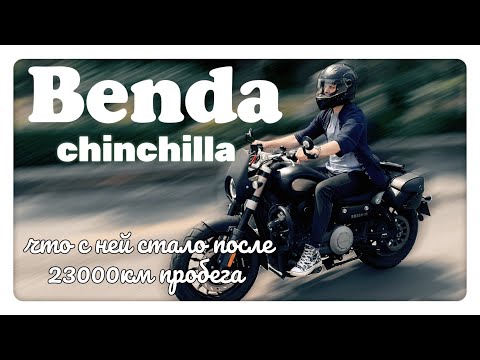 Benda-Chinchilla. -Интервью с Владельцем