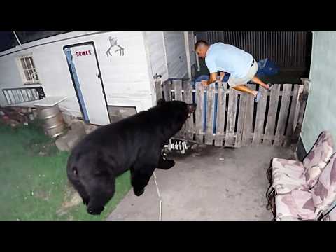 Delivery Drivers vs Animals | When Things Go Wrong