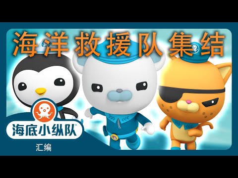 海底小纵队 - 🐻‍❄️😼🐧 海洋救援队集结! 🌊 | ⏱️ 1小时+汇编 | 集完整版