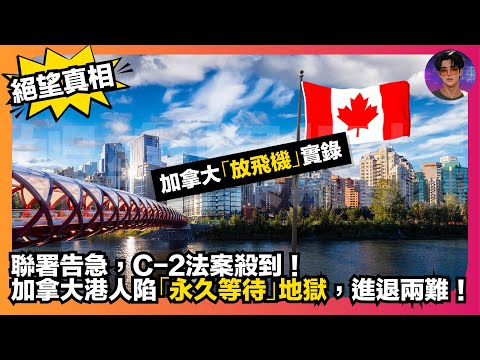 【絕望真相】加拿大「放飛機」實錄｜聯署告急，C-2法案殺到｜加拿大港人陷「永久等待」地獄，進退兩難｜娛樂爆爆爆