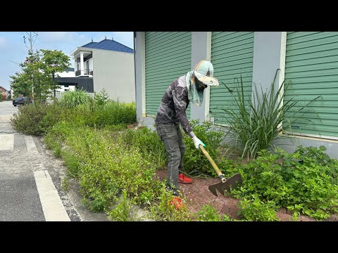 Work Clean with simple tool volunteer clean up the city when there were no lawn mowers