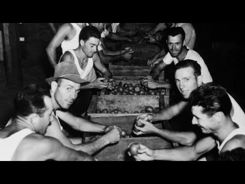 Italian POWs Couldn't Believe America Actually Paid Them to Farm