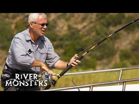 The BIGGEST (and HEAVIEST) FISH Caught In Each Season Of River Monsters