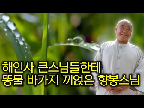 향봉스님의 법거량과 선문답 일화... 침묵이 답이라고 변명하지 말라 | '산골 노승의 화려한 점심' 향봉스님 7