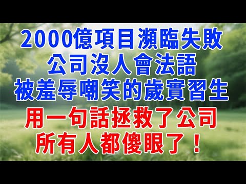 誰能翻譯出來獎勵500萬！2000億項目瀕臨失敗.公司沒人會法語，關鍵時刻一直被羞辱嘲笑的21歲實習生，用一句話拯救了公司！所有人都傻眼了！#人生感悟 #故事分享 #打脸 #职场