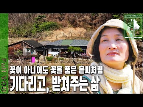 지금 꽃이 아니면 어떠랴. 묵묵히 그 자리에서 기다리며 희망의 꽃씨를 품은 부부의 정원 | 자연의 철학자들 52부 꽃이 아닌, 홑씨라도 좋다 (KBS 20230414 방송)