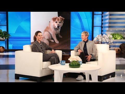 Aubrey Plaza's Dog Is Dutch Royalty