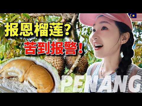 Penang Durian Hunt 🍃 Champion Red Prawn Durian & Hidden Village Orchard | Malaysia Food Travel