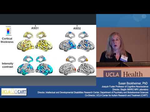 Update on Brain Research in Autism