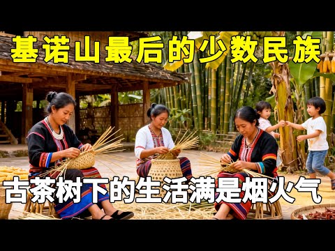 探秘基诺山最后的少数民族！基诺族敲响太阳鼓庆特懋克节，古茶林采茶制茶，古茶树下的生活满是烟火气！#基诺族#中国少数民族【中国少数民族】
