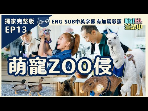 [第一季EP13] 什麼寵物攏來！全台最友善寵物餐廳就在柴城那裡！｜嗨！第一季完整版 ENG SUB 含獨家花絮&中英字幕】@hicomein #嗨營業中 #寵物友善 #寵物餐廳