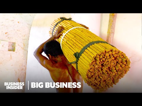 How The World’s Most Expensive Cinnamon Is Produced