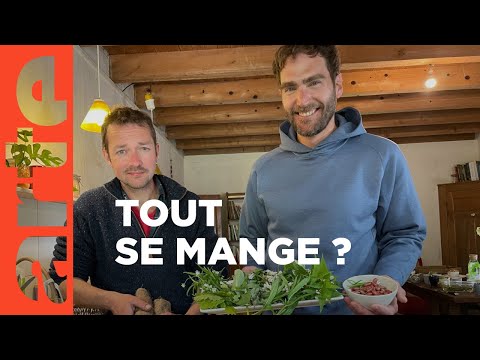 Carbon farming : l’agriculture du carbone | Roots (5/5) | ARTE