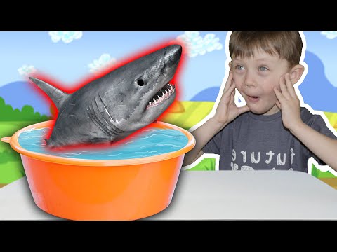 Мультик Про Биби и Яна - Ура! Рыбалка! - Ловись Рыбка