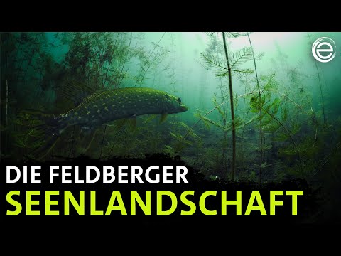Die Feldberger Seenlandschaft ‒ Geheime Wasserwildnis | Erlebnis Erde