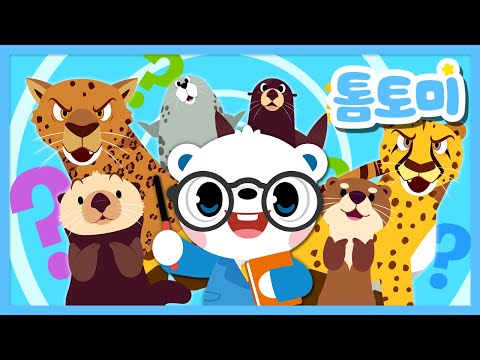 닮은꼴 동물을 찾아라! | 특이한 동물 시리즈 | 동물 동요 | 인기동요 모음집 | #톰토미