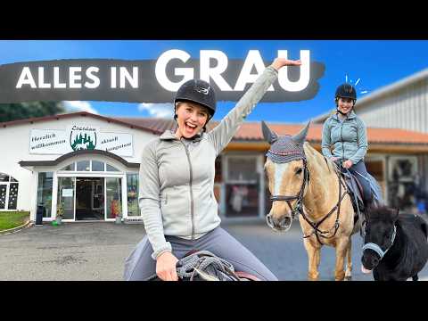 ALLES IN GRAU - Shoppen!