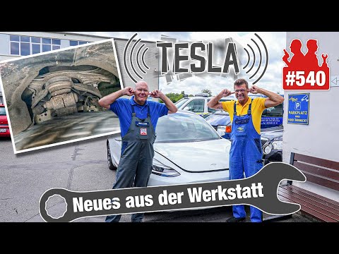 TESLA-Fehlkonstruktion?! 😡 Querlenker quietschen SKANDALÖS! 😣 Wir zeigen die Lösung!!