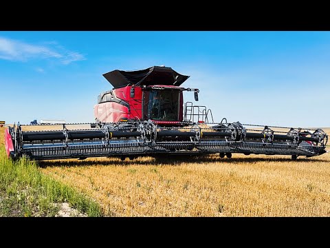 AF11 Field Test & First Impressions!