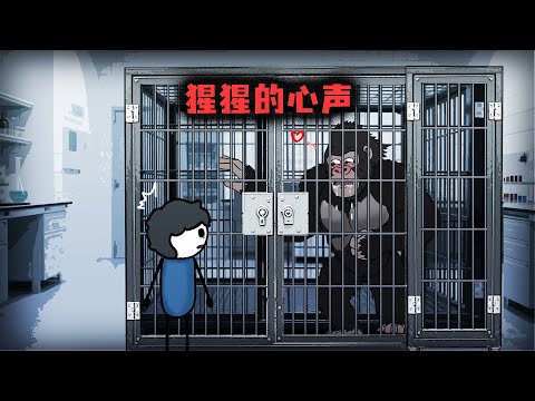 （完整版）我能聽到母猩猩的心聲，它竟然看上了我的皮囊